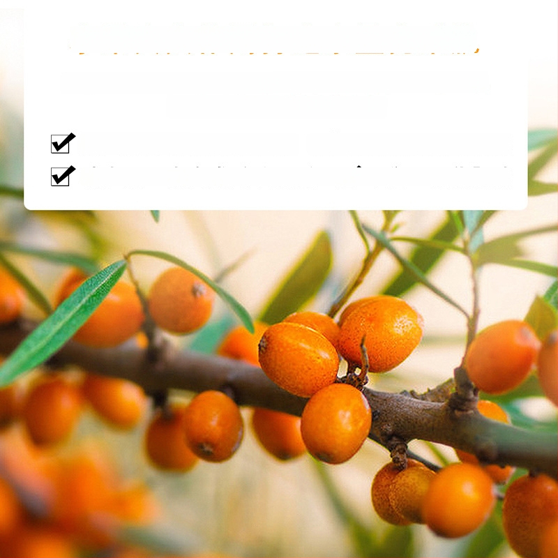 Molio kaukė su Sea Buckthorn 15 ml – drėkina, nuramina, šviesina odos toną