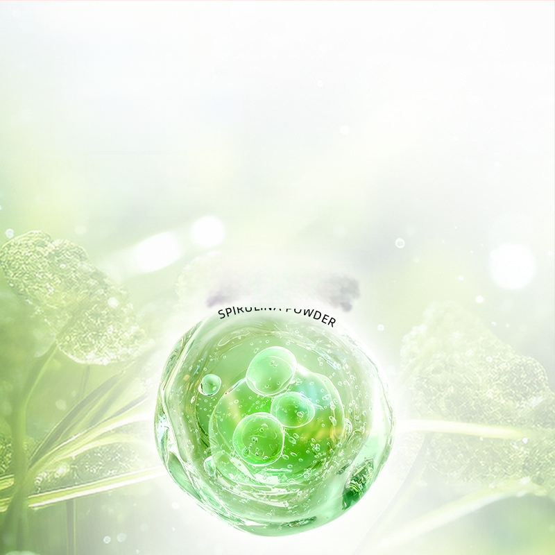 Kilpkonnatoit – Bessnbessen akvaariumi lemmikloomatoit – Ei imporditud