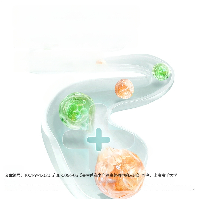 Kilpkonnatoit – Bessnbessen akvaariumi lemmikloomatoit – Ei imporditud