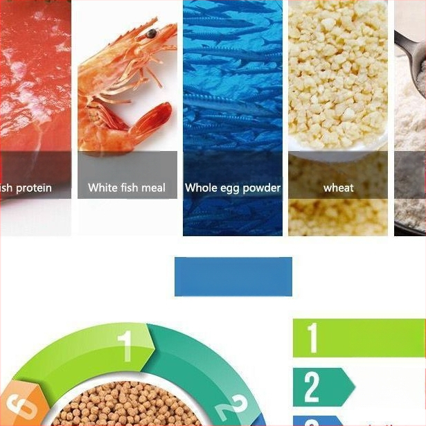 Graanulite kujuline akvaariumi kalatoit – kuldkala ja dekoratiivkalade jaoks