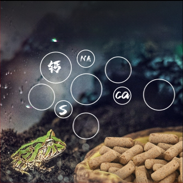 SuperRep Horned Frog Food, 50 g, 48 pakendid karbis, päritolu Guangdong, akvaariumi koduloomade toit