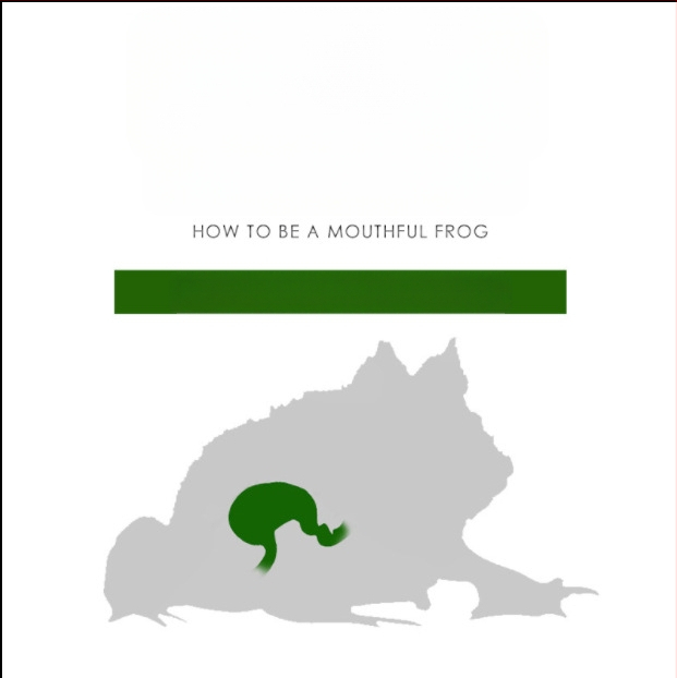 SuperRep Horned Frog Food, 50 g, 48 pakendid karbis, päritolu Guangdong, akvaariumi koduloomade toit