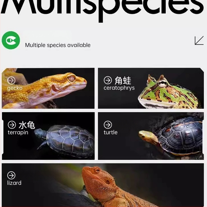 Reptiilide geeltoit viljapüreevalemiga, 0.3 kg, Akvaariumi lemmikloomatoit, Päritolu: Hiina