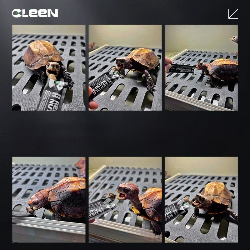 Reptiilide geeltoit viljapüreevalemiga, 0.3 kg, Akvaariumi lemmikloomatoit, Päritolu: Hiina