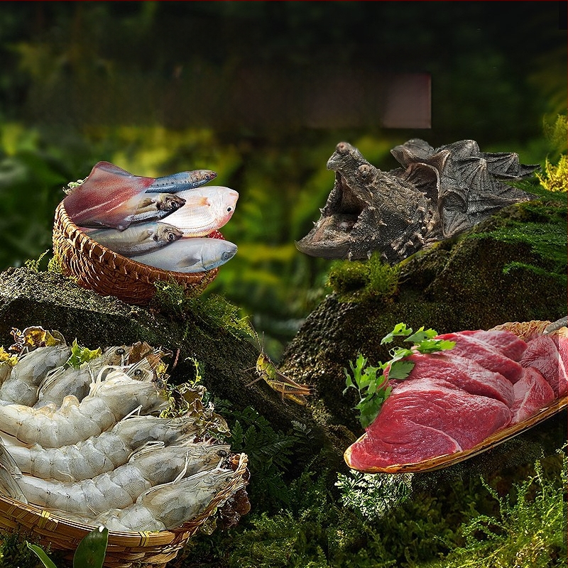 yee Kilpkonnade graanulite toit – kõrge proteiinisisaldusega ja kaltsiumilisandiga, akvariumikilpkonnadele, 0,3 kg, 20 tk