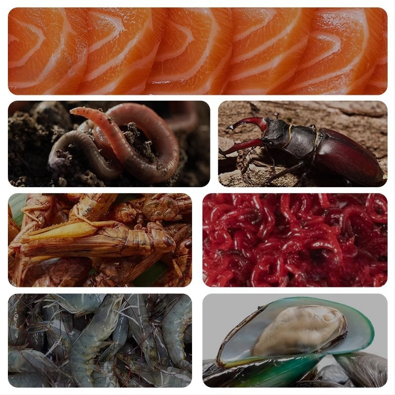 Yee kilpkonna toit – osakestega toit; Bränd: Yee; Päritoluriik: Shandong; Pakendi kogus: 1; Tüüp: akvaariumi lemmikloomatoit