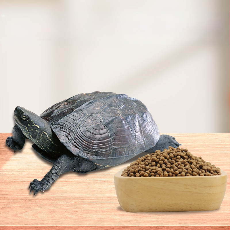 Kilpkonnade teravilja toit – akvaariumi lemmikloomade toit, 800 g, pakk 10, kaubamärk BESSN