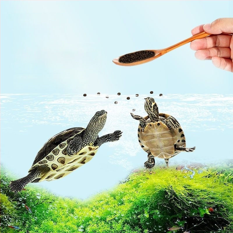 Noore kilpkonna toit – kõrge kaltsiumi ja valgu sisaldus, graanulid, kaitseb pehme kilp