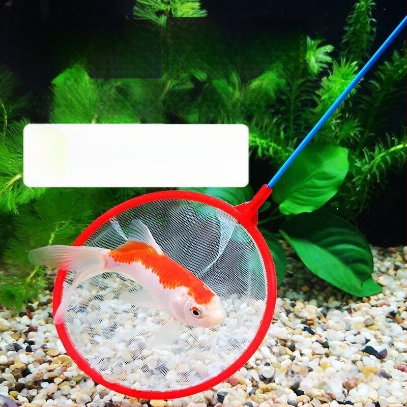 Akvariumo žvejybos tinklas namų naudojimui, apvalus arba kvadratinis tinklas mažoms dekoratyvinėms žuvims ir auksinėms žuvims