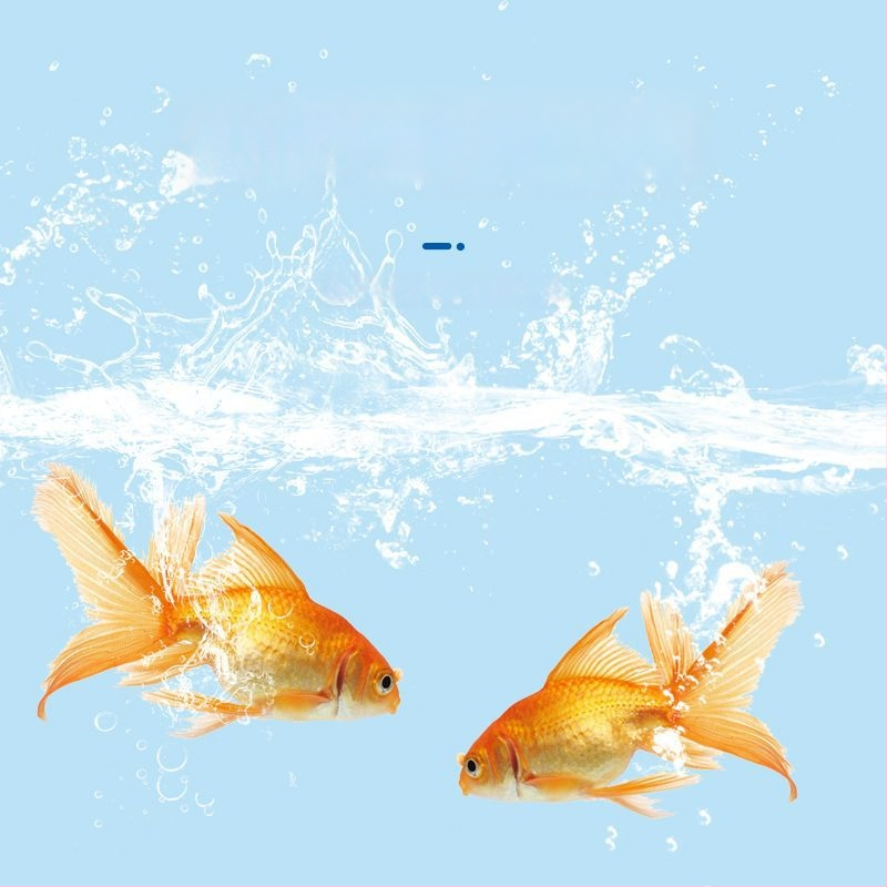 Kuldkalad ja dekoratiivkalade akvaariumi toit – granuleeritud toit akvaariumi lemmikloomadele