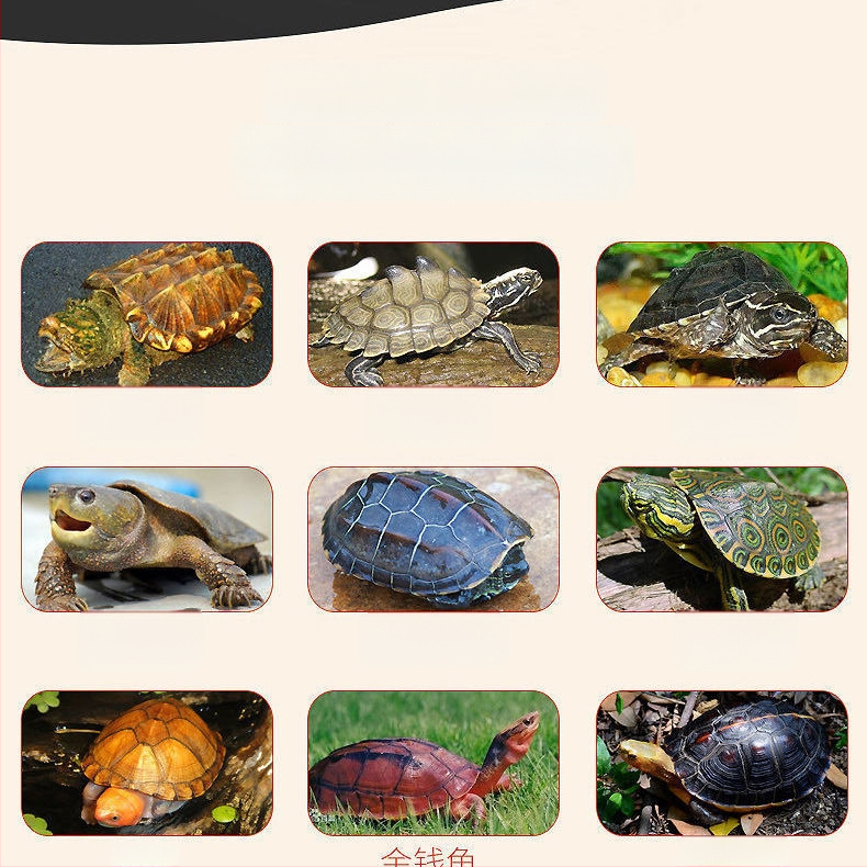 Granuleeritud veekilpkonna toit lemmikloomadele