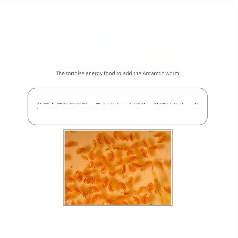 Kilpkonna toit — granuleeritud tüüp, bränd Deera/Bailjia, kategooria: akvaariumi koduloomatoit