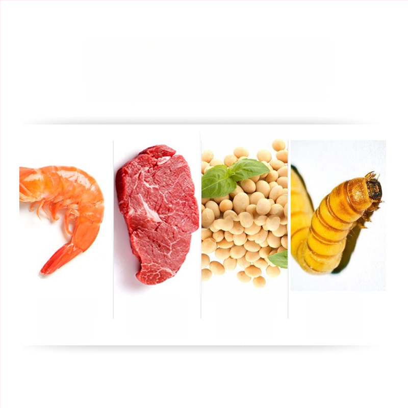 Kilpkonna toit — granuleeritud tüüp, bränd Deera/Bailjia, kategooria: akvaariumi koduloomatoit