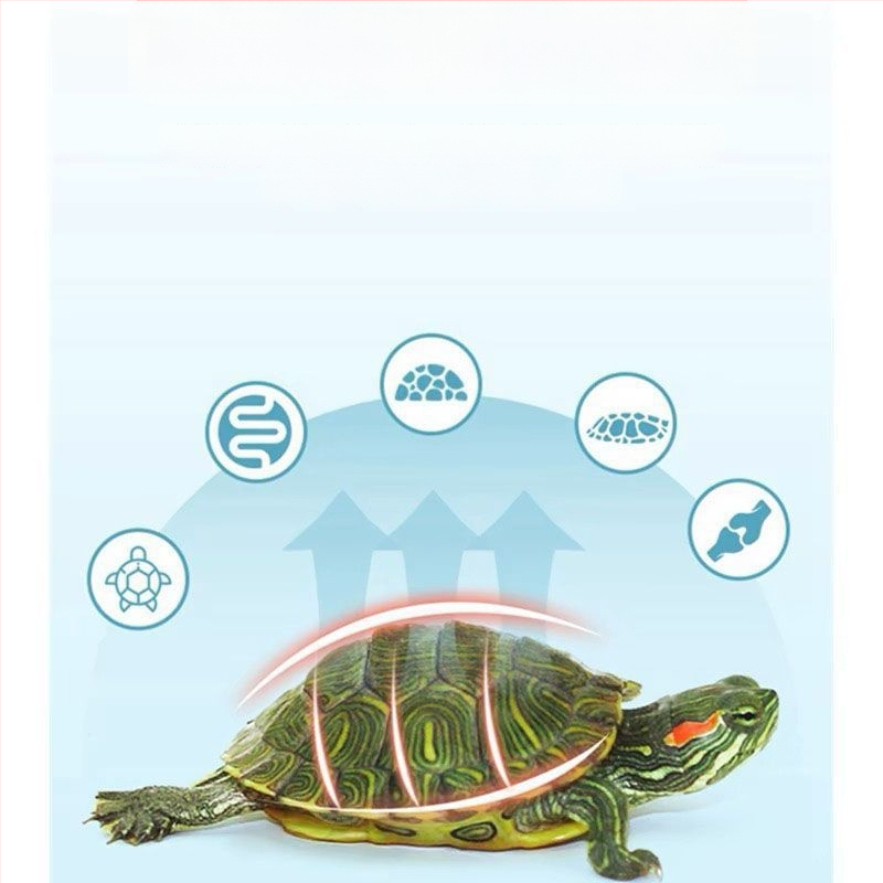 Granuleeritud kilpkonnatoit - veekasvatajate lemmikloomad - mitte imporditud