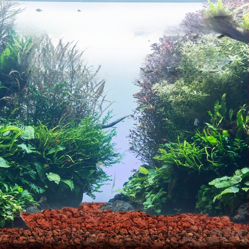 Vulkaninis akvariumo substratas – dugno smėlio dalelės, filtravimo medžiagos, tinkamas akvariumams su vėžliais, kraštovaizdžio smėlis ir dekoratyviniai akmenys