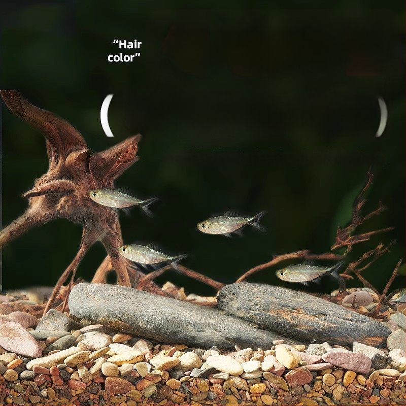 Smiltakmetis upės smėlio akvariumui, natūralus apačioje substratas, kraštovaizdžio dekoras, 1,5 kg, kilmė Shandong