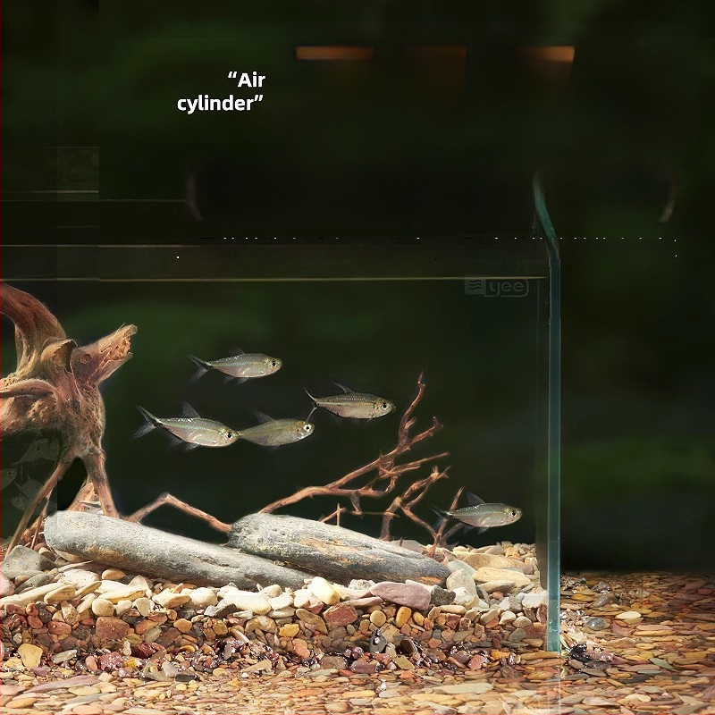 Smiltakmetis upės smėlio akvariumui, natūralus apačioje substratas, kraštovaizdžio dekoras, 1,5 kg, kilmė Shandong