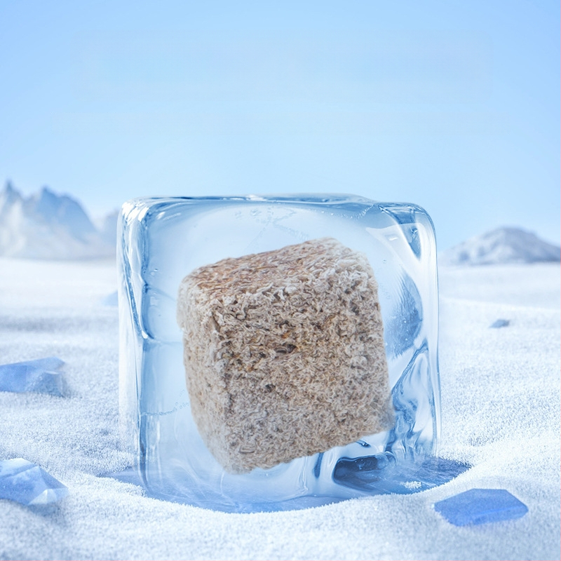 Akvaariumi kala toit — Freeze-dried water earthworms, Naichong; päritolu: Liaocheng, Shandong; tüüp: akvaariumi koduloomatoit; importimine: Ei