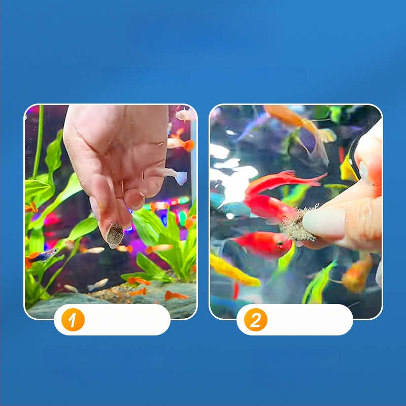 Akvaariumi kala toit — Freeze-dried water earthworms, Naichong; päritolu: Liaocheng, Shandong; tüüp: akvaariumi koduloomatoit; importimine: Ei