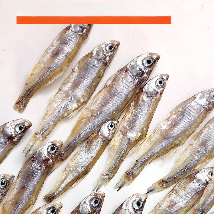 Kilpkonna toit - soolamata, kuivatatud ussid ja krevettid, akvaariumikilpkonnadele