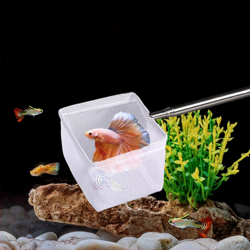 Nerūdijančio plieno teleskopinis akvariumo tinklas, rankų darbo, 50 g, Akvariumo įranga