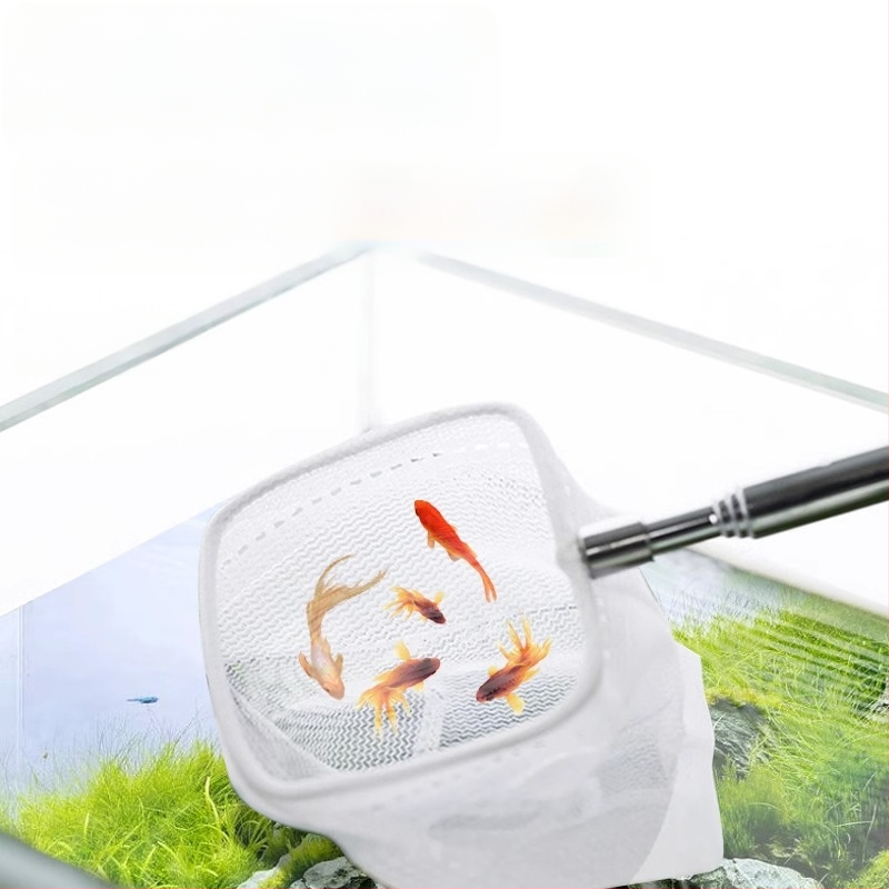 Nerūdijančio plieno sulankstomas žvejybos tinklas su ilga rankena, apvalios ir kvadratinės formos (50 g)