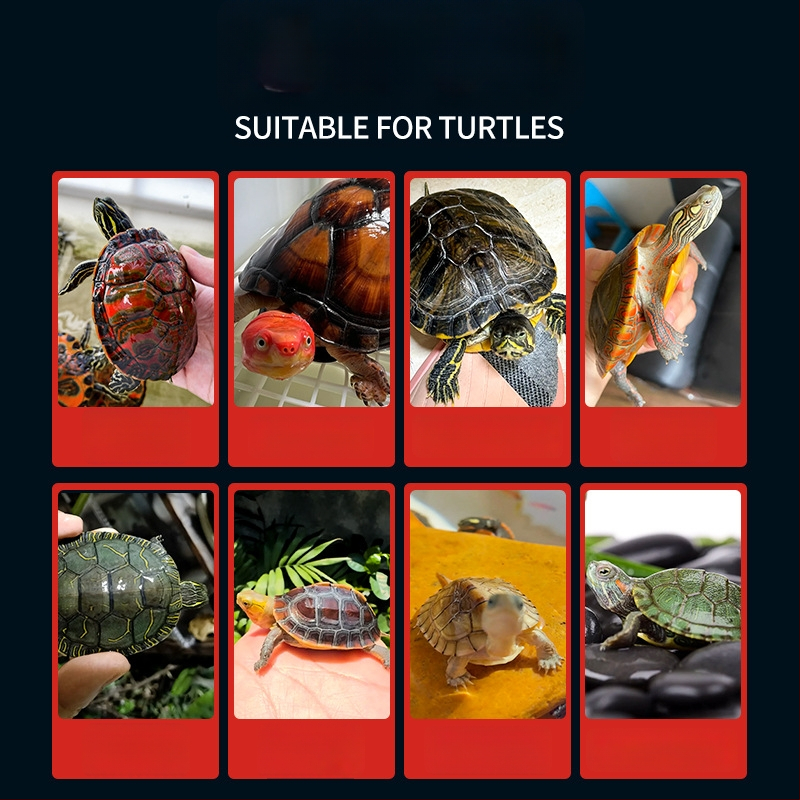 Crazy Water Plants kilpkonnadele mõeldud graanulite toit – 500 g, graanulid, akvaelavate lemmikloomadele