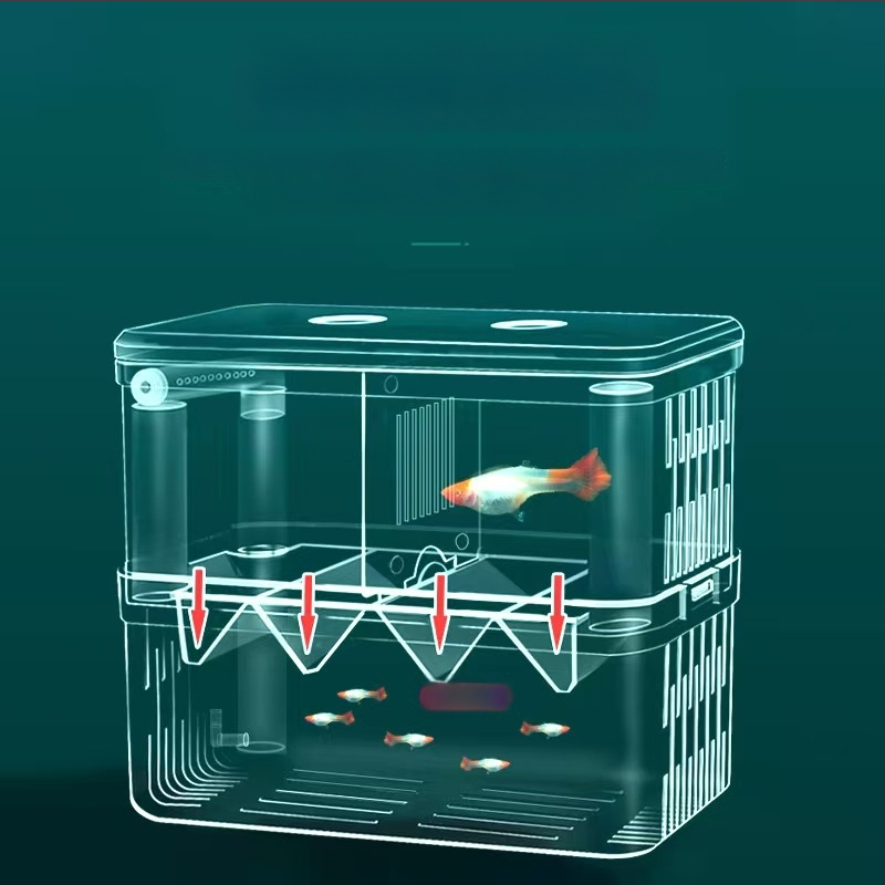 Inkubatoriaus akvariumas Betta žuvims, PS medžiaga, inkubacijos atskyrimas, prekinis ženklas Yao liu ba