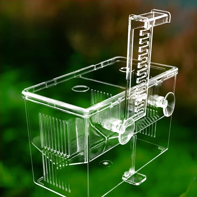 Polipropilėnų inkubavimo ir izoliacijos dėžutė guppy ir tropinių žuvų akvariumui