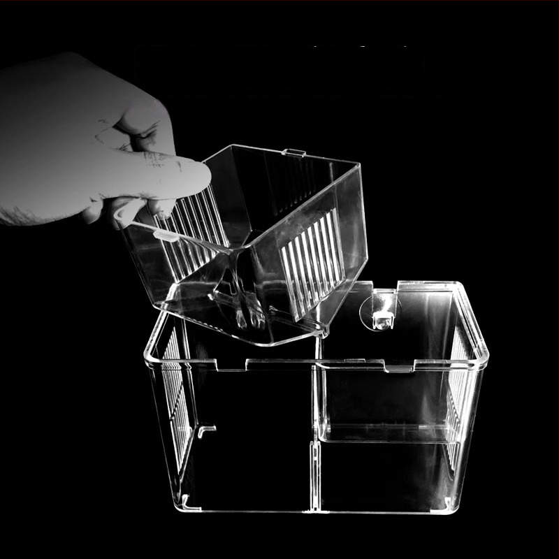 Polipropilėnų inkubavimo ir izoliacijos dėžutė guppy ir tropinių žuvų akvariumui