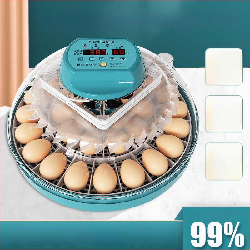 Xinweida väike kodukasutuses inkubaator, täielikult automaatne intelligentne inkubaatkanade, pardi, hanede, tuvi ja papagoide munade jaoks