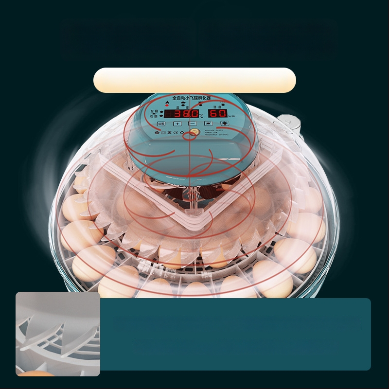 Xinweida väike kodukasutuses inkubaator, täielikult automaatne intelligentne inkubaatkanade, pardi, hanede, tuvi ja papagoide munade jaoks