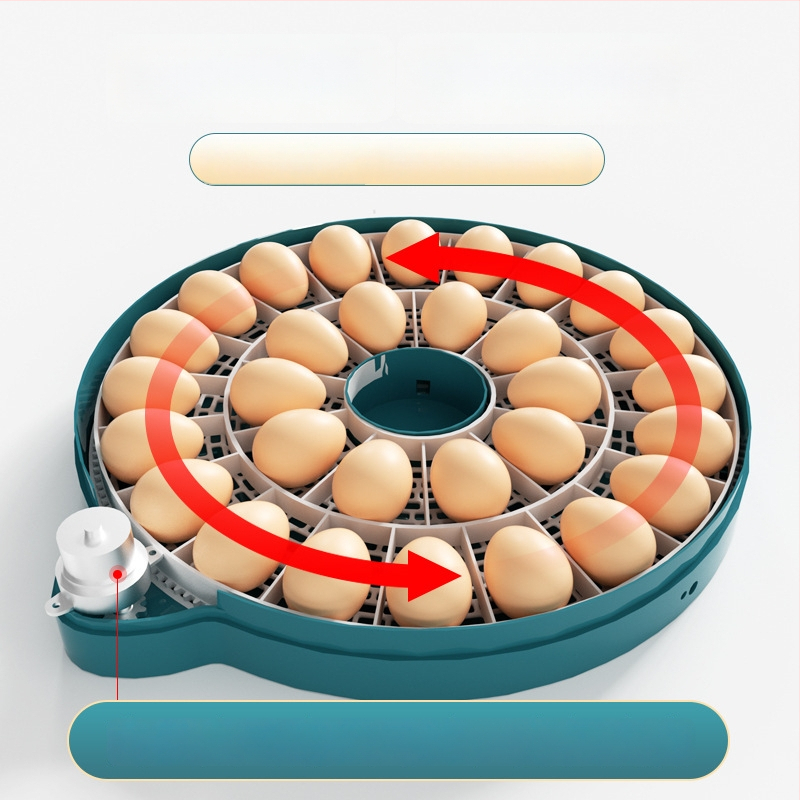 Xinweida väike kodukasutuses inkubaator, täielikult automaatne intelligentne inkubaatkanade, pardi, hanede, tuvi ja papagoide munade jaoks