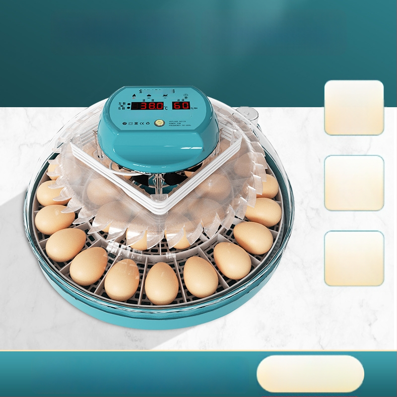 Xinweida väike kodukasutuses inkubaator, täielikult automaatne intelligentne inkubaatkanade, pardi, hanede, tuvi ja papagoide munade jaoks