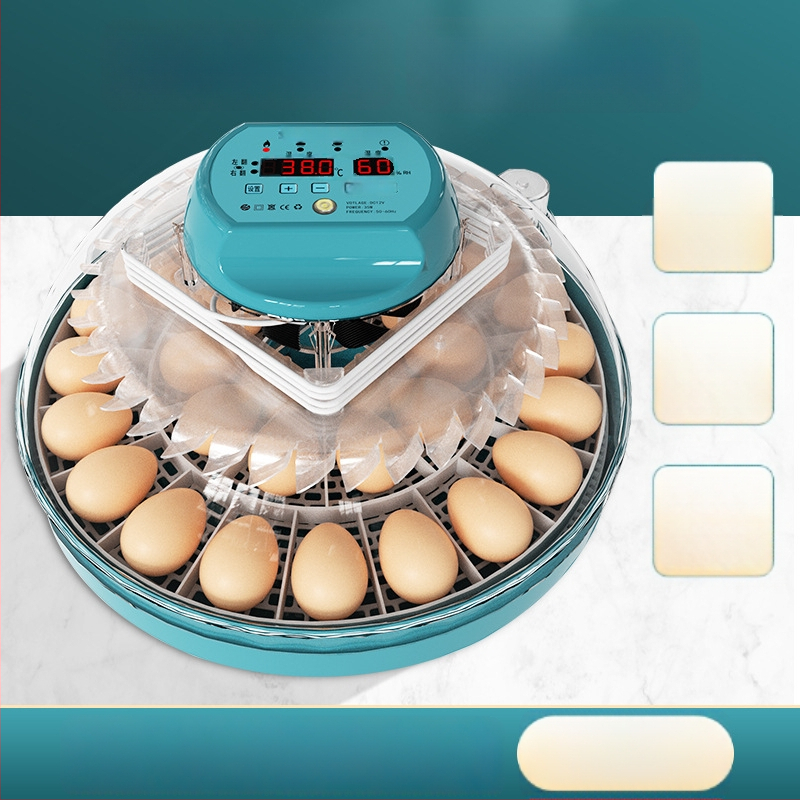 Xinweida väike kodukasutuses inkubaator, täielikult automaatne intelligentne inkubaatkanade, pardi, hanede, tuvi ja papagoide munade jaoks