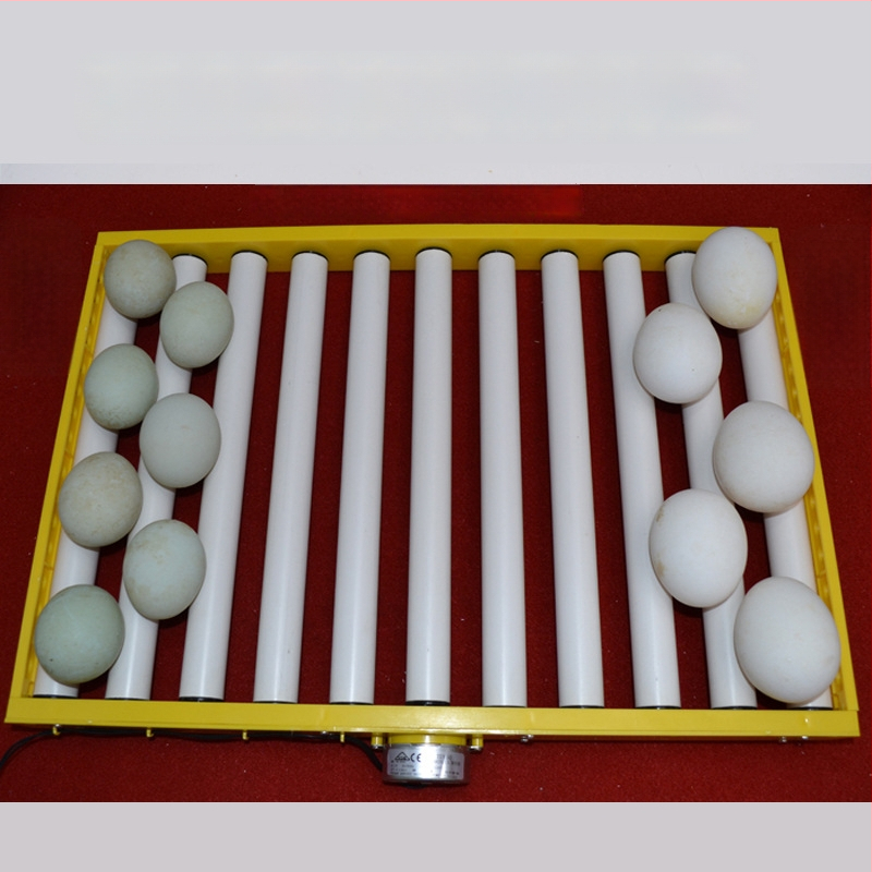 Jiayu Munade inkubaator kanade jaoks – 360° iseseisev rull, 6 kuu garantii, loomakasvatus ja vesiviljelus