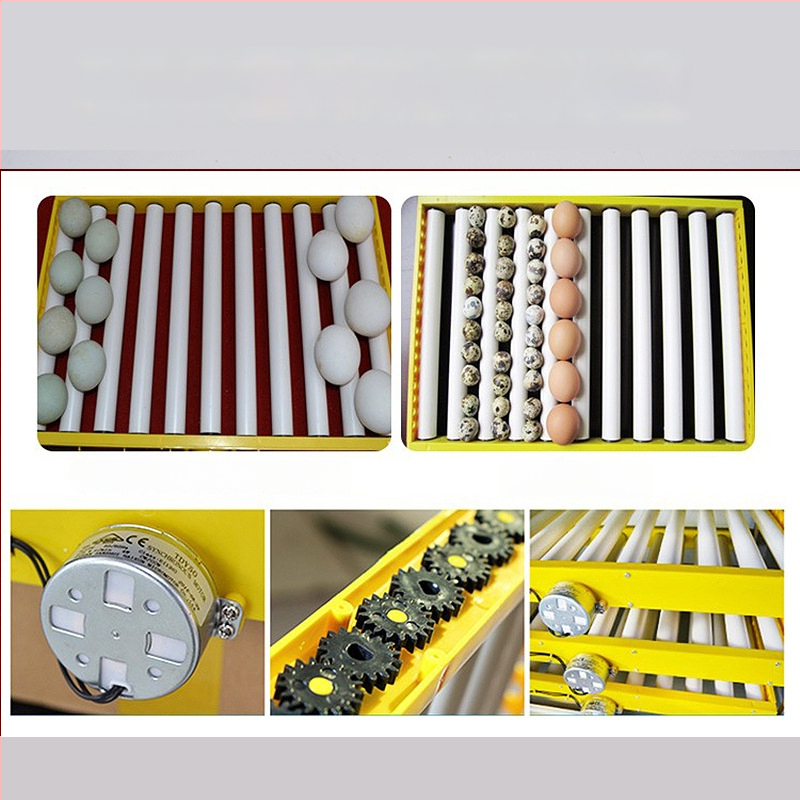 Jiayu Munade inkubaator kanade jaoks – 360° iseseisev rull, 6 kuu garantii, loomakasvatus ja vesiviljelus