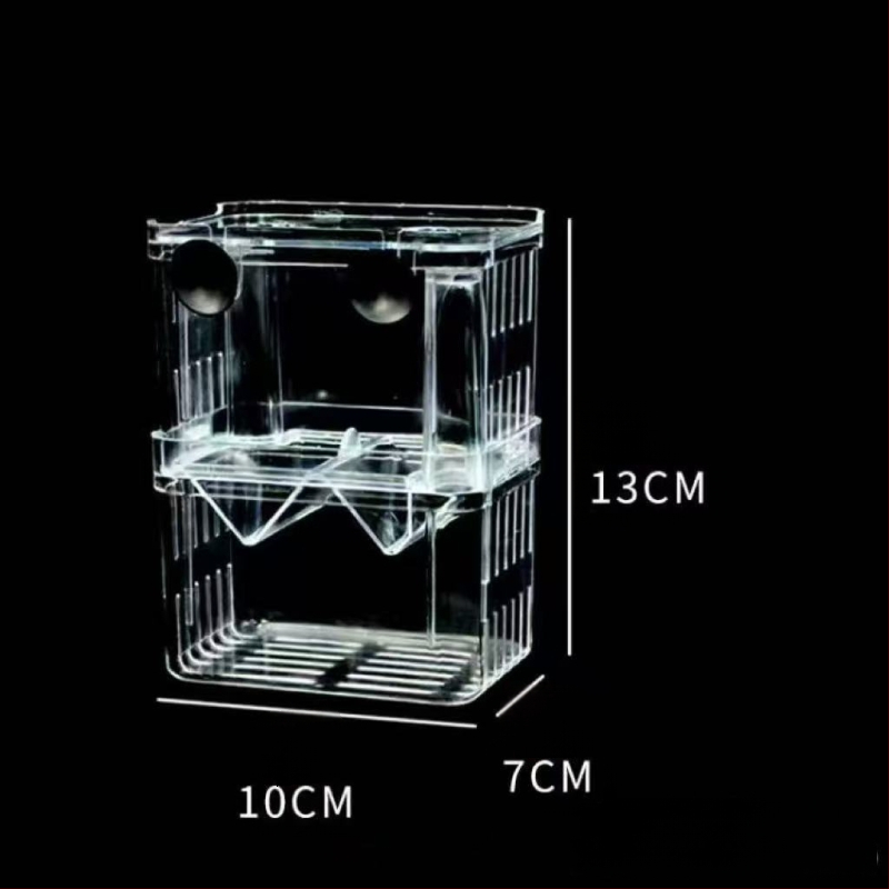 Plastikinis inkubacijos dėklas kiaušinėliams izšildyti