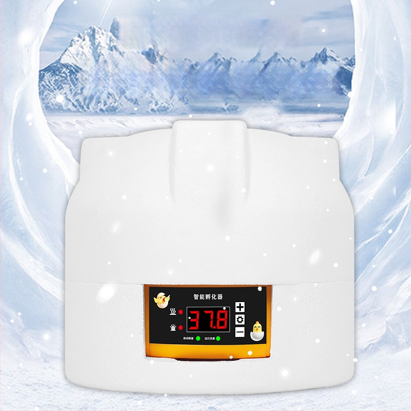 Kodune munainkubaator automaatse muna pööramisega, 6 muna mahutavus, sobib tibude ja putpelaste jaoks