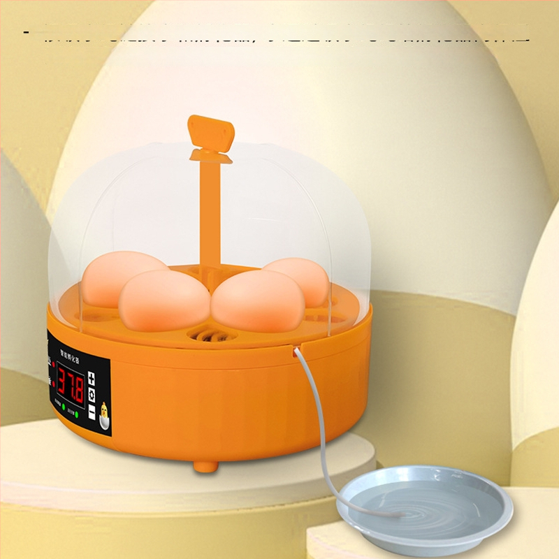 Kodune munainkubaator automaatse muna pööramisega, 6 muna mahutavus, sobib tibude ja putpelaste jaoks