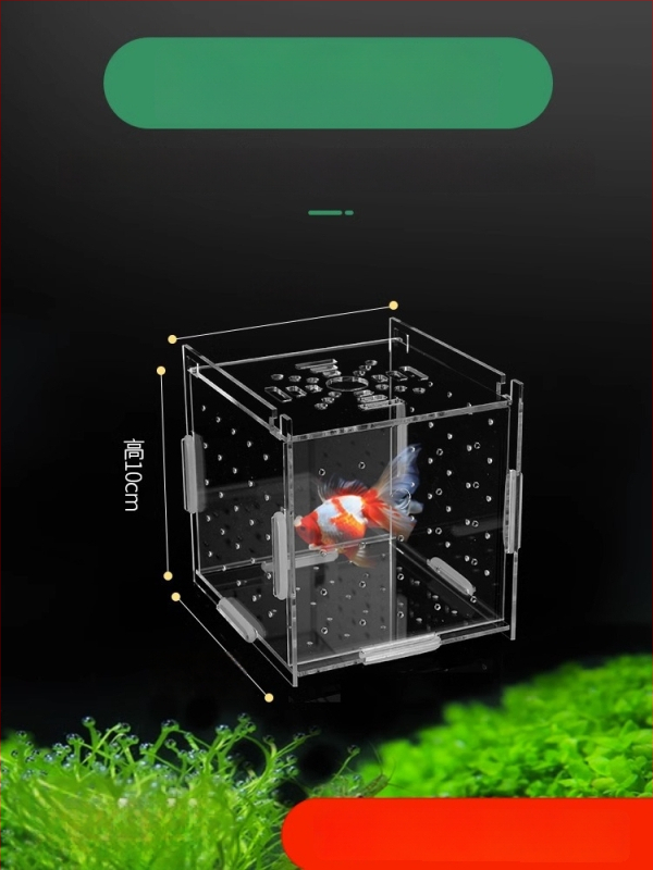 Akrila akvārija izolācijas korpuss – gupju dējēja kastīte, bruņurupuču mazuļi, Betta un tropiskās zivtiņas; Materiāls: akrils; Izcelsme: Hebei; Kategorija: akvārija aprīkojums