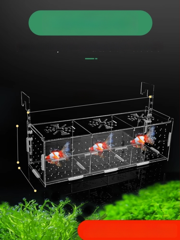 Akrila akvārija izolācijas korpuss – gupju dējēja kastīte, bruņurupuču mazuļi, Betta un tropiskās zivtiņas; Materiāls: akrils; Izcelsme: Hebei; Kategorija: akvārija aprīkojums