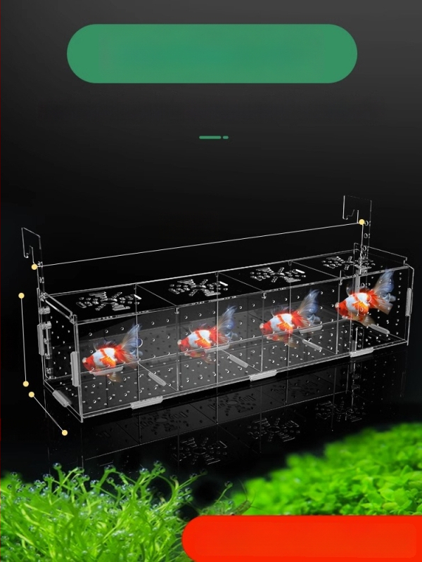 Akrila akvārija izolācijas korpuss – gupju dējēja kastīte, bruņurupuču mazuļi, Betta un tropiskās zivtiņas; Materiāls: akrils; Izcelsme: Hebei; Kategorija: akvārija aprīkojums