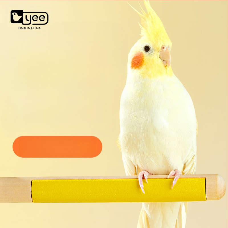 Puidust papagoi küünte viilutamise alus — lindudele, päritolu Shandong