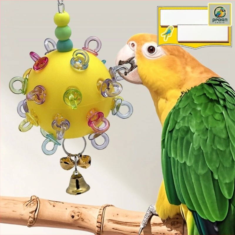 Papūgų žaislas – suaugusiems paukščiams, žaislo tipas, neimportuotas