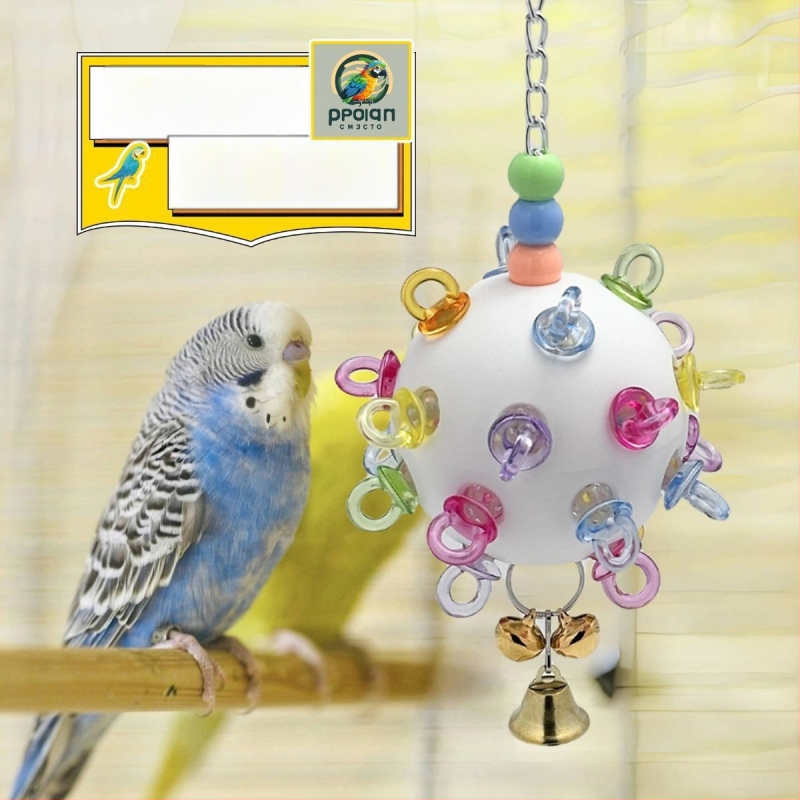 Papūgų žaislas – suaugusiems paukščiams, žaislo tipas, neimportuotas