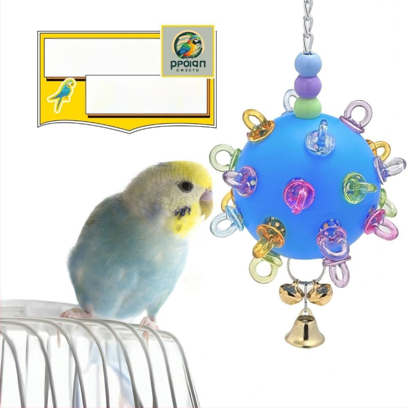 Papūgų žaislas – suaugusiems paukščiams, žaislo tipas, neimportuotas