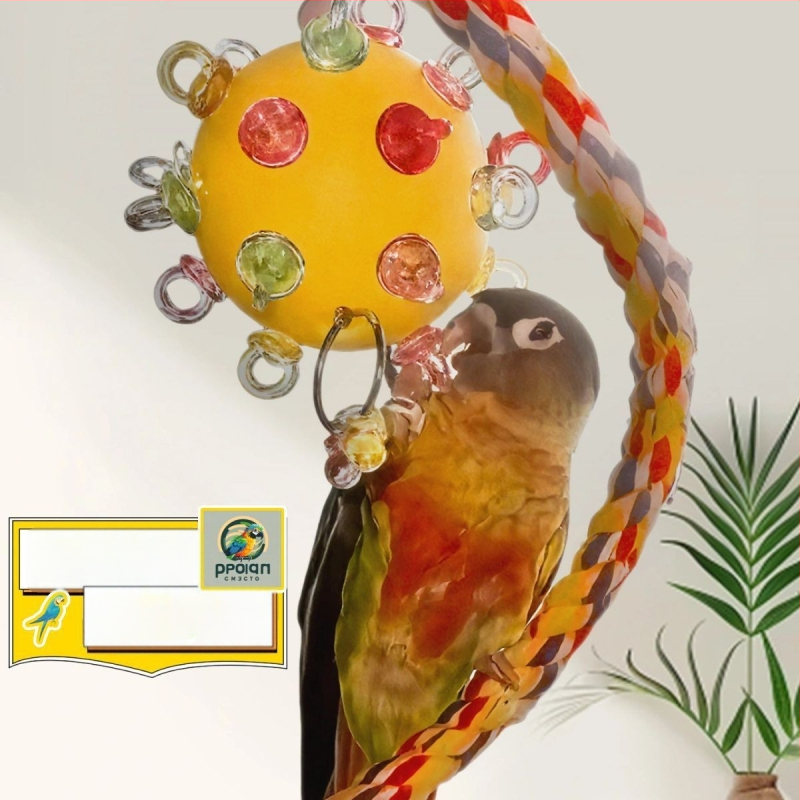 Papūgų žaislas – suaugusiems paukščiams, žaislo tipas, neimportuotas