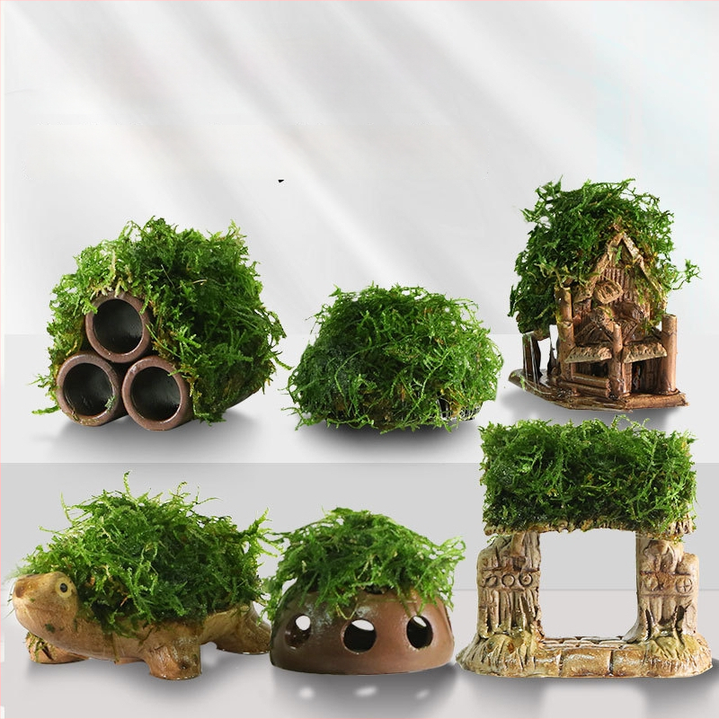 Keraminė akvariumo dekoracija – prieglobai ir kraštovaizdžiui; Prekės ženklas Crazy aquatic plants; Medžiaga keramika; Funkcija: prieglobai ir kraštovaizdžiui; Pagrindinis tikslas: kraštovaizdis, prieglobas