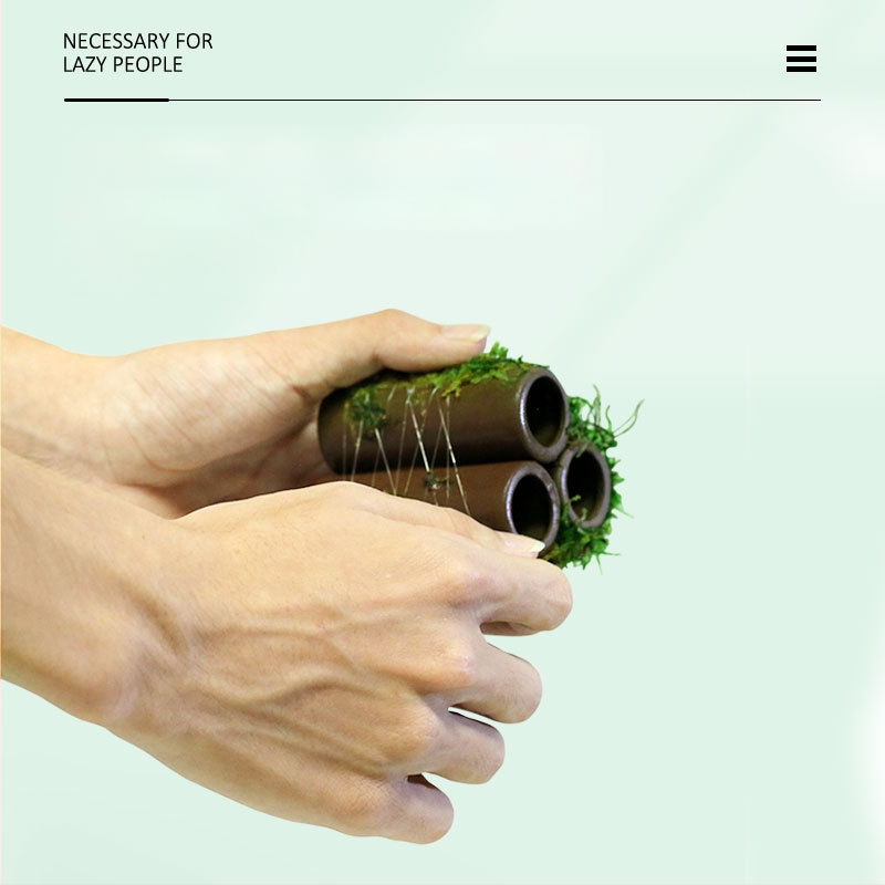 Keraminė akvariumo dekoracija – prieglobai ir kraštovaizdžiui; Prekės ženklas Crazy aquatic plants; Medžiaga keramika; Funkcija: prieglobai ir kraštovaizdžiui; Pagrindinis tikslas: kraštovaizdis, prieglobas